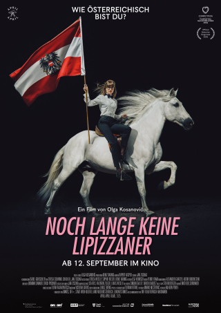 Noch lange keine Lipizzaner