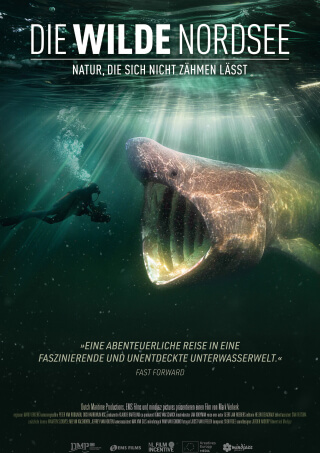 Die Wilde Nordsee - Natur, die sich nicht zähmen lässt