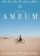 Amrum